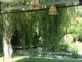 DSC03505