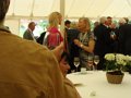 DSC07316