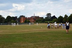 Cricket001