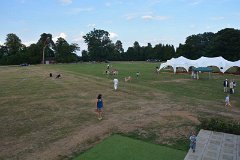Cricket011