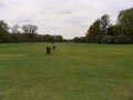 DSC02612